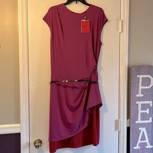 Narcisco Rodriguez Dress